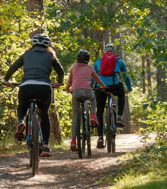 Bild von drei Fahrradfahrern auf einem Waldweg