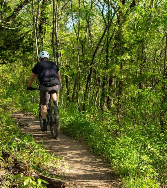 Bild eines Fahrradfahrers auf einem Waldweg